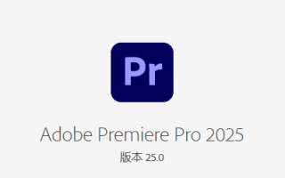 Premiere Pro 2020-2025 版本   【设计必备】