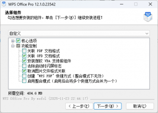 WPS Office 2025 专业增强版 永久激活