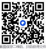 Radmin LAN游戏局域网联机工具