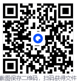 Radmin LAN游戏局域网联机工具