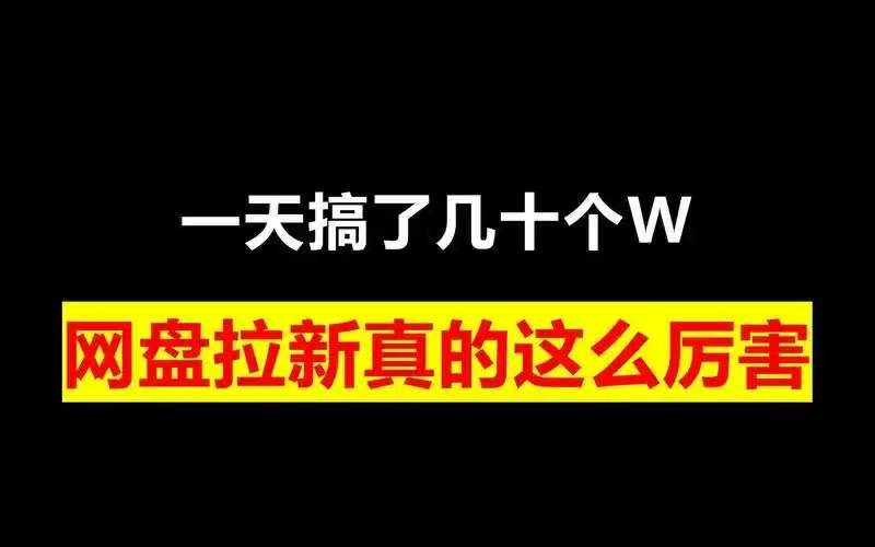 网盘拉新项目训练营  月入5位数玩法指南