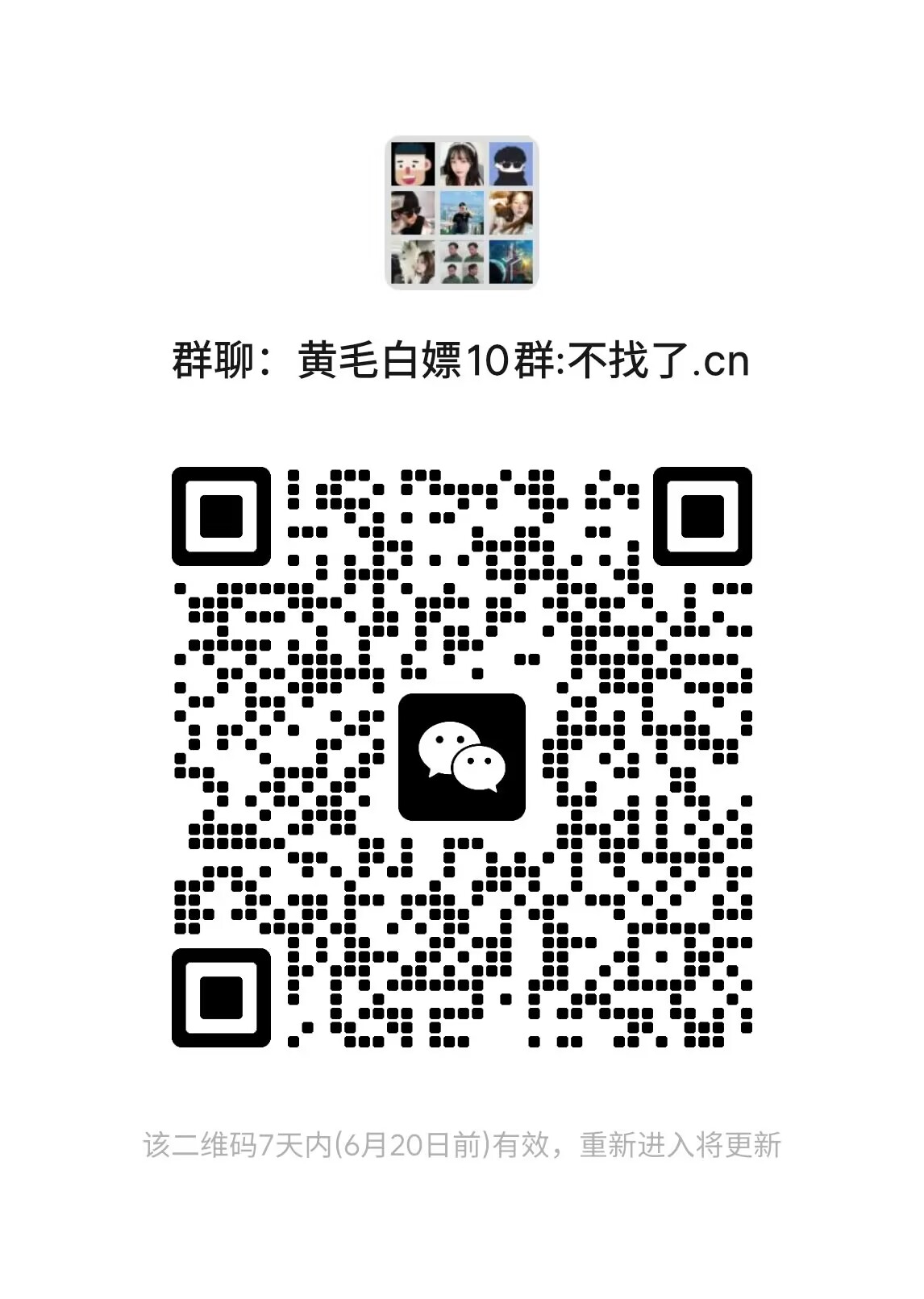 黄毛粉丝资源技术交流群 速进!